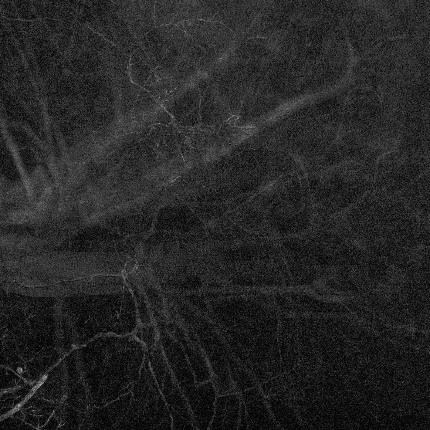 Salon Mort (echolot001)